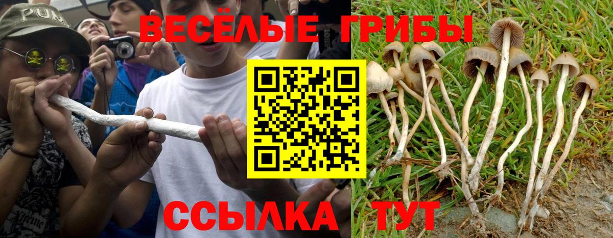 Волгоград  Галлюциногенные грибы ЛСД  Вход с VPN 